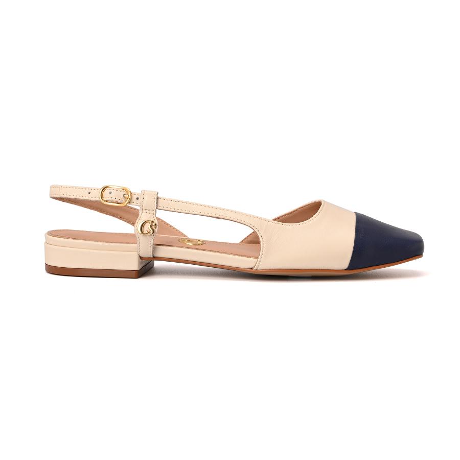 BALLERINA BICOLOR CS