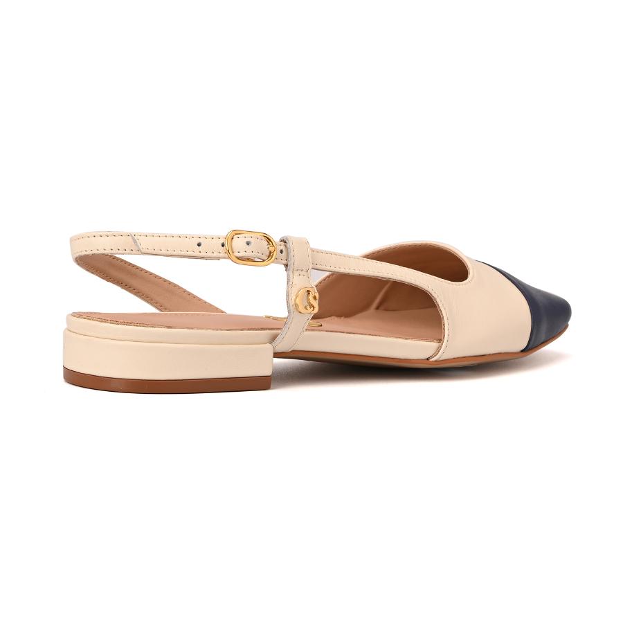 BALLERINA BICOLOR CS